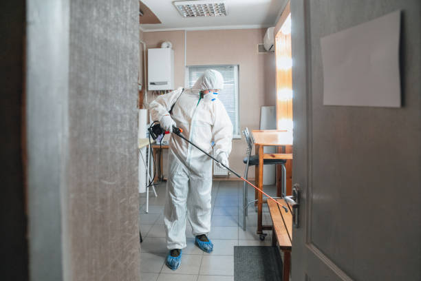 Best Mold-Related Health Consultation  in Elk Point, SD