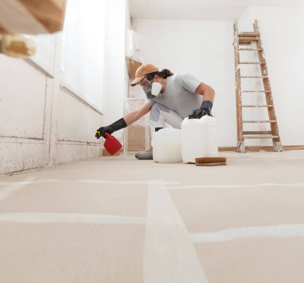 Best Mold Odor Removal Services  in Elk Point, SD